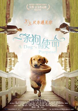 ”春节期间广东省电影局联动多部门、多业态推出的八大新春观影福利，在春节档构建起了覆盖全民、贯穿全域、兼顾普惠与特色的惠民体系，以“电影+”跨界融合模式激活消费潜能。