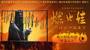 判断是否侵权，关键看量变和质变的关系。
